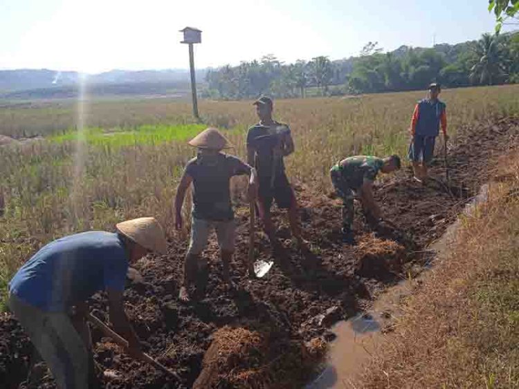 Babinsa Bersama Warga Laksanakan Karya Bakti Pembuatan Irigasi 