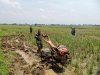 Babinsa Koramil 07/Mandiraja Membantu Petani Mengolah Lahan Sawah
